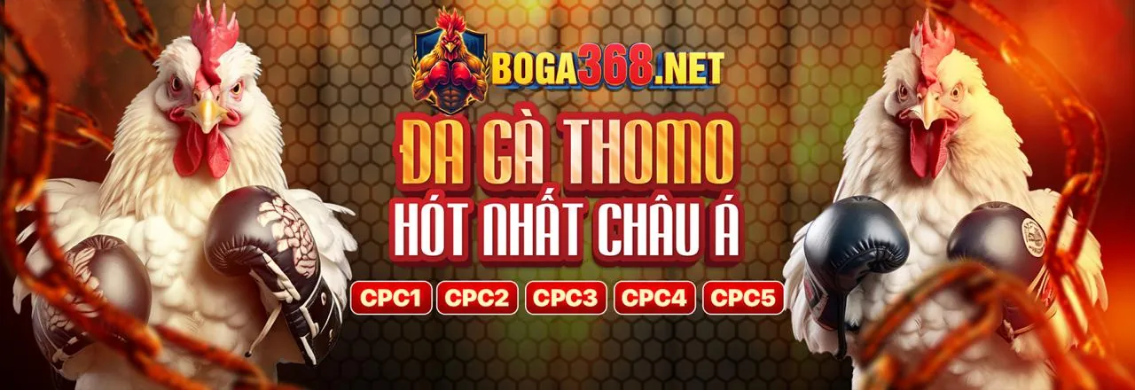 Cam kết của Xocdia88 Info về sự tin cậy và bảo mật